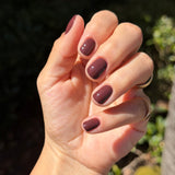 Café Noir