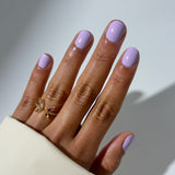 Fall In Lavender